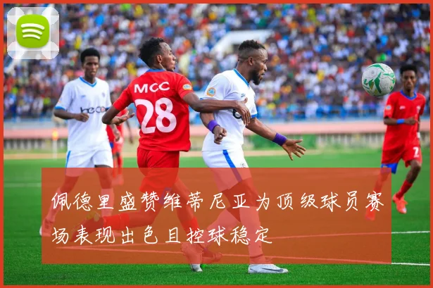 佩德里盛赞维蒂尼亚为顶级球员赛场表现出色且控球稳定