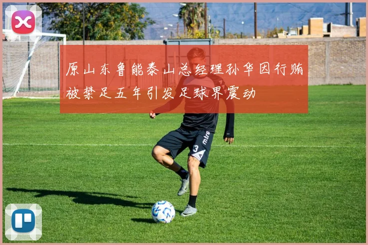 原山东鲁能泰山总经理孙华因行贿被禁足五年引发足球界震动
